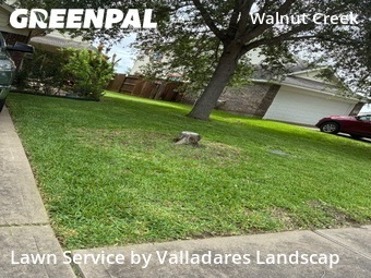 Lawn Mowing Servicein Rosenberg,77469,Lawn Mowing by Valladares Landscap, work completed in Jun , 2026