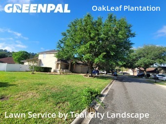 Lawn Mowin Orange Park,32065,Lawn Cut by Teal City Landscape , work completed in Jun , 2026