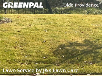 Yard Cutting nearby Charlotte, NC, 