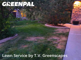 Grass Cutting nearby Meridian, ID, 