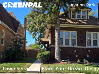 Grass Cut nearby Chicago, IL, 