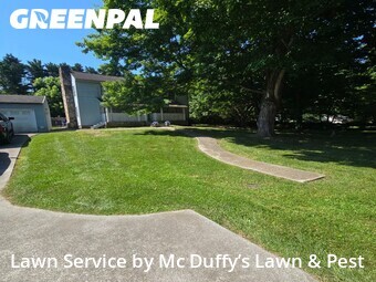 Lawn Cutting nearby Kodak, TN, 