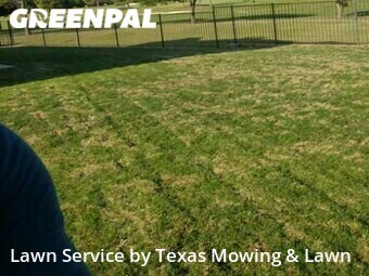 Lawn Care nearby Corinth, TX, 