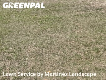 Yard Mowing nearby Lady Lake, FL, 