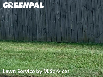 Grass Cutting nearby Greensboro, NC, 