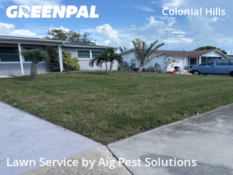 Lawn Mowing Service nearby New Prt Rchy, FL, 