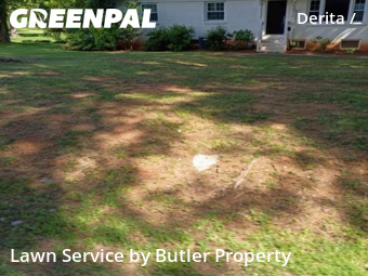 Yard Cutting nearby Charlotte, NC, 