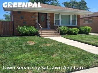 Lawn mowed in Dolton, 60419