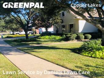 Lawn Carein Houston,77095,Lawn Maintenance by Daniels Lawn Care, work completed in Nov , 2025