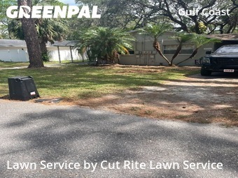Grass Cutting nearby New Port Richey, FL, 