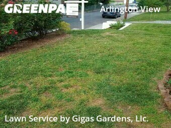 Lawn Maintenance nearby Arlington, VA, 