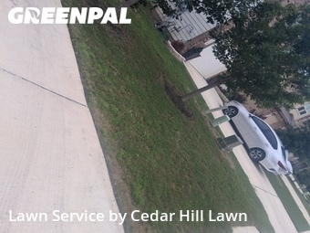 Lawn Care nearby San Antonio, TX, 
