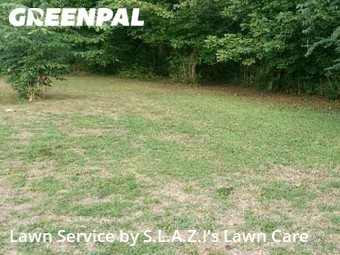Lawn Cut nearby Jackson, TN, 