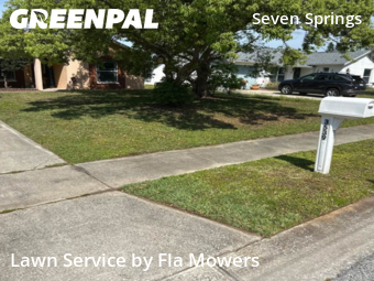 Lawn Cutting nearby Trinity, FL, 