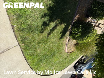 Work completed by affordable-grass-cutting-businesses-in-Folsom-CA