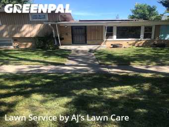 Yard Cutting nearby Chicago Heights, IL, 