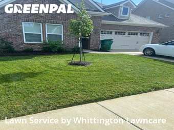 Grass Cut nearby Lebanon, TN, 