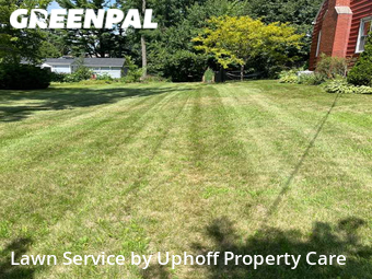 Lawn Cut nearby Madison, WI, 