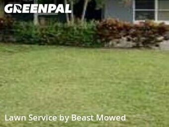 Grass Cut nearby Tampa, FL, 