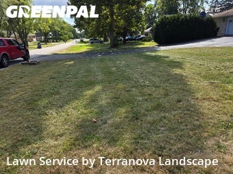 Lawn Upkeep in Darien, 60561, Yard Mowing by Terranova Landscape, work completed in Nov , 2025