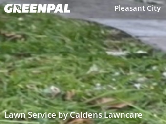 Lawn Mowing Service nearby West Palm Beach, FL, 