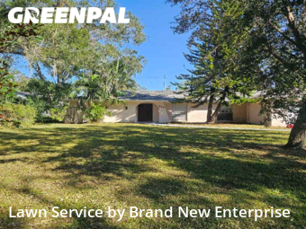 Grass Cut nearby Tampa, FL, 