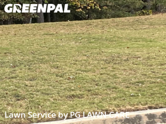 Yard Cutting nearby Snellville, GA, 