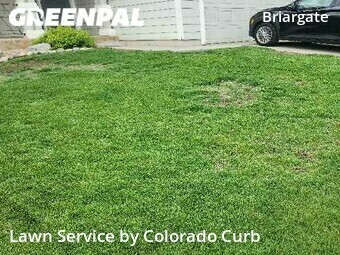 Yard Mowing nearby Colorado Springs, CO, 
