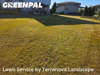 Property Maintenance in Romeoville, 60446, Grass Services by Terranova Landscape, work completed in Nov , 2025
