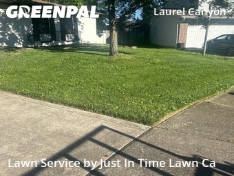 Lawn Care Service nearby Columbus, OH, 