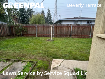 Work completed by residential-lawn-cutting-businesses-in-Sacramento-CA