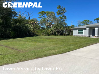 Weed Trimming in North Port, 34291, Yard Care Services by Lawn Pro, work completed in Oct , 2025