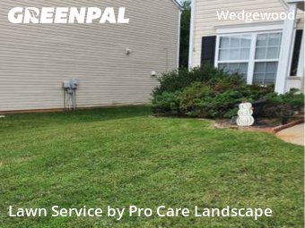 Grass Cut nearby Charlotte, NC, 