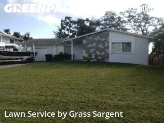 Yard Cuttingin Palm Harbor,34683,Lawn Cutting by Grass Sargent, work completed in Feb , 2026