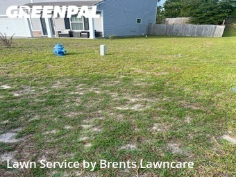 Grass Cut nearby West Columbia, SC, 