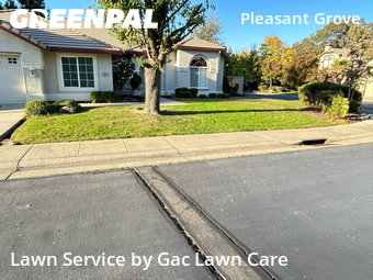 Grass Cut nearby Roseville, CA, 