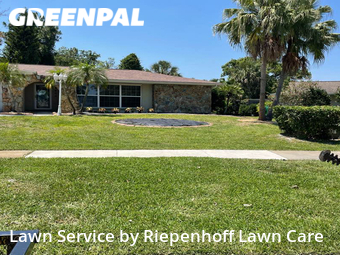 Grass Cut nearby Clearwater, FL, 