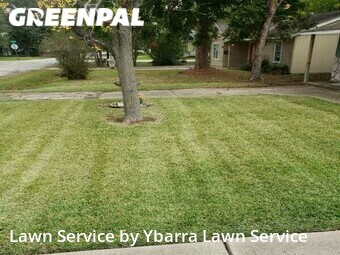 Lawn Care nearby La Porte, TX, 