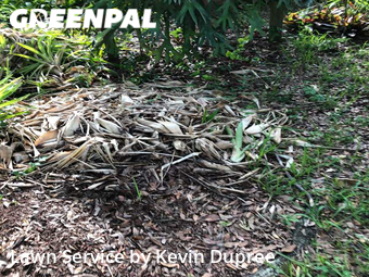 Yard Cutting nearby Tampa, FL, 