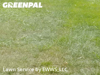 Lawn Mowing Service nearby Colorado Springs, CO, 