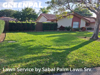 Backyard Landscaping In Coral Springs,33065,Landscaping Cleanup by Sabal Palm Lawn Srv., work completed in Feb , 2026
