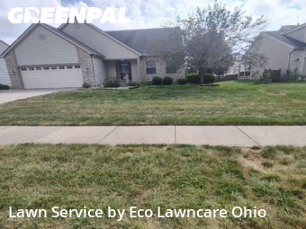Yard Services in Pataskala, 43062, Yard Maintenance by Eco Lawncare Ohio, work completed in Nov , 2025