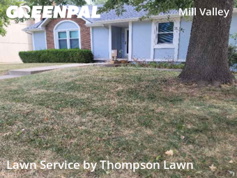 Grass Cutin Shawnee,66216,Lawn Mowing by Thompson Lawn, work completed in Nov , 2025