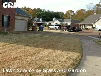 Lawn Care nearby Memphis, TN, 