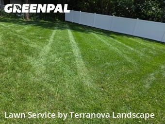 Lawn Mow nearby Carol Stream, IL, 