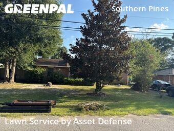 Yard Maintenance in Bellview, 32526, Lawn Work by Asset Defense, work completed in Nov , 2025