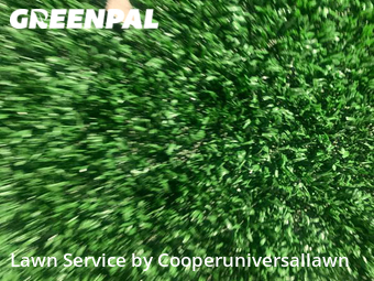 Grass Cutting nearby North Miami, FL, 