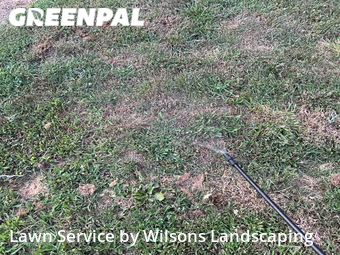 Lawn Mow nearby Memphis, TN, 