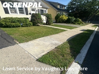 Lawn Mow nearby Union, NJ, 