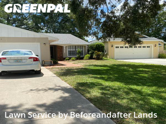 Grass Cut nearby Eustis, FL, 